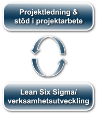 Project Lean Six Sigma